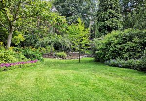 Optimiser l'expérience du jardin à Saint-Andeol-le-Chateau